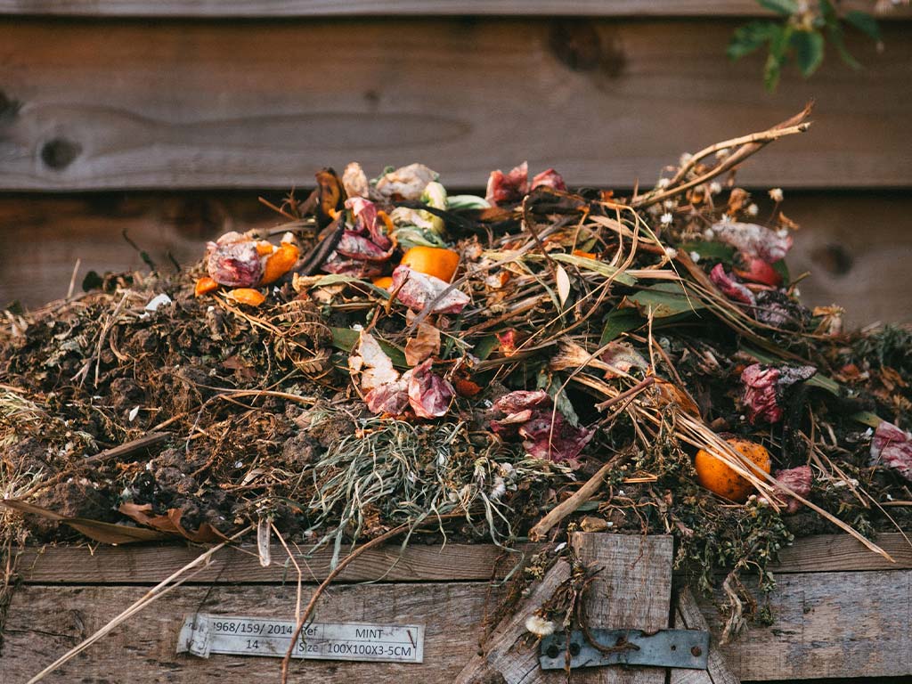 Kompost składający się z roślin, widać w nim kwiaty