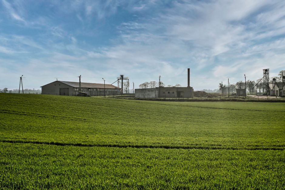 A serene view of lush farmland against a rural backdrop in Toruń, Poland.
